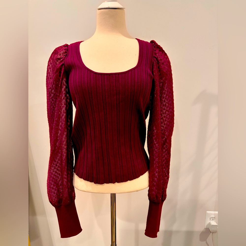 Anthropologie Berry Top w/Sheer Sleeves
